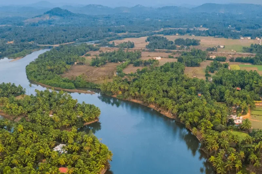 Untitled design - 2026-01-13T155314.041