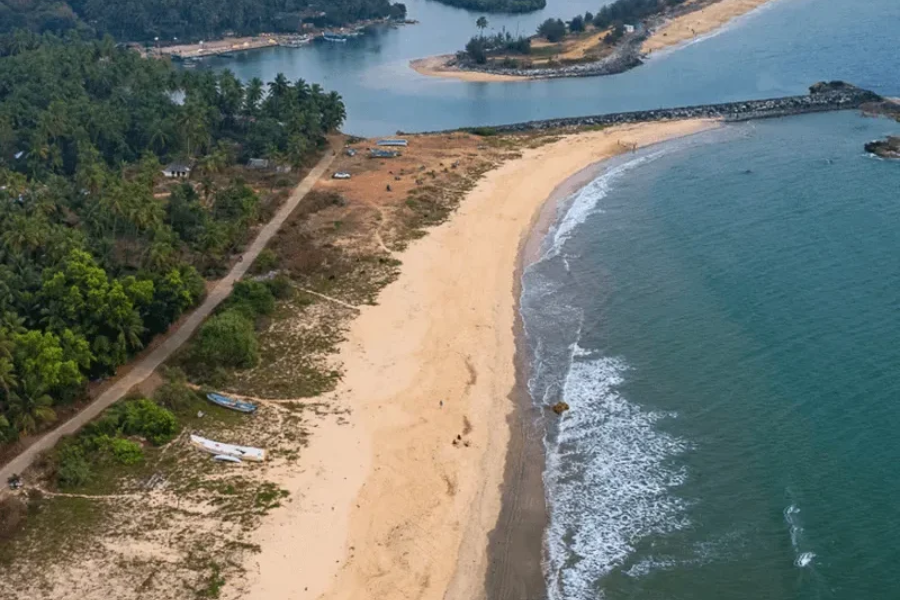 Untitled design - 2026-01-13T155336.391