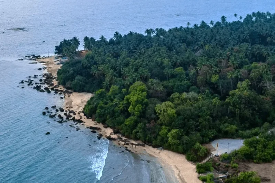 Untitled design - 2026-01-13T155402.431