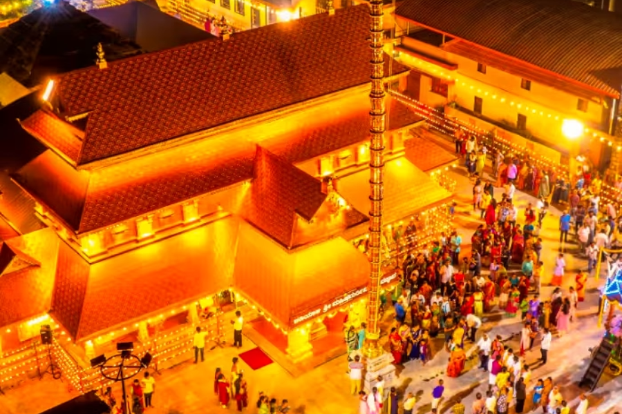 Untitled design - 2026-01-13T162527.334