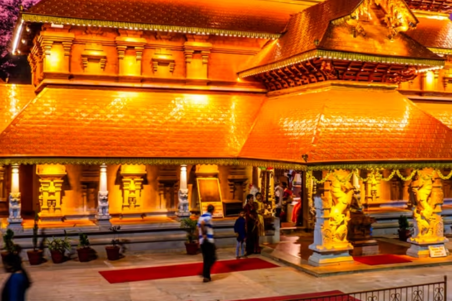 Untitled design - 2026-01-13T162548.980