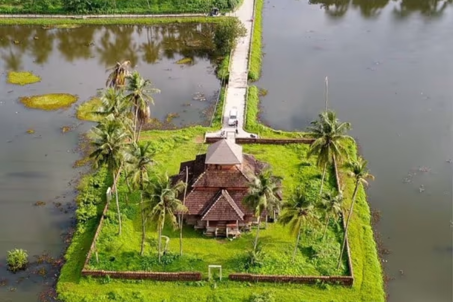 Untitled design - 2026-01-13T163227.025