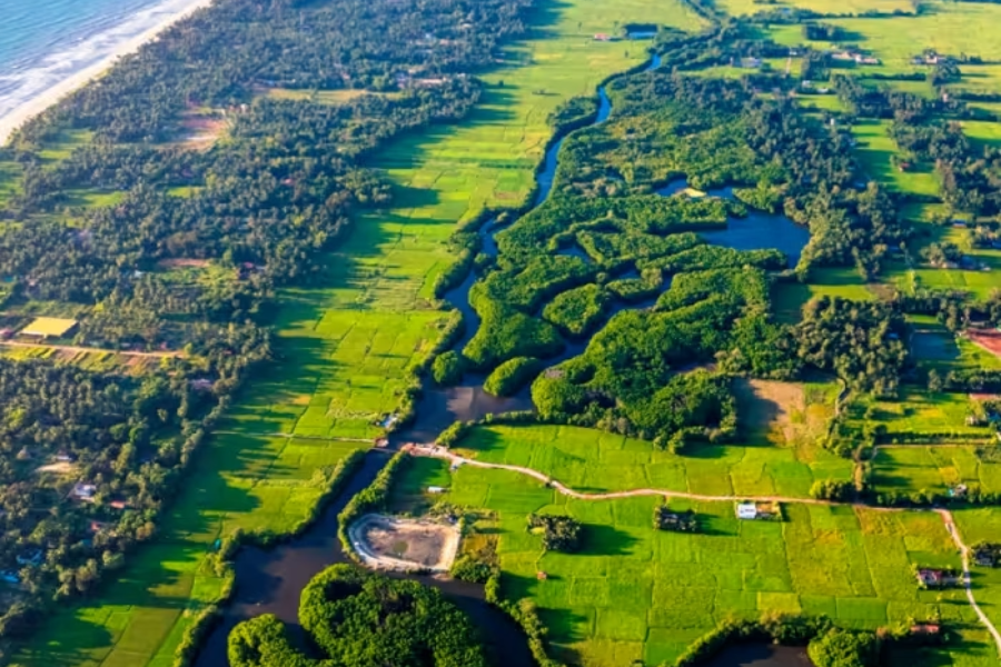 Untitled design - 2026-01-13T212229.346