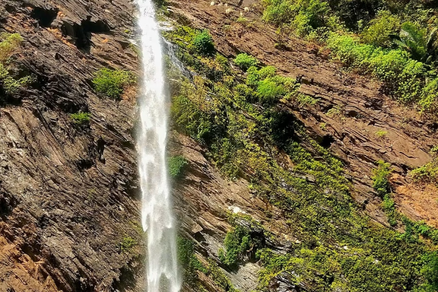 Untitled design - 2026-01-13T212946.230