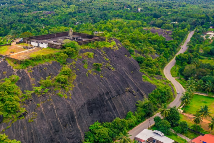 Untitled design - 2026-01-13T231140.171