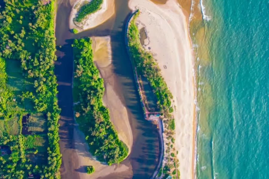 Untitled design - 2026-01-17T163547.188