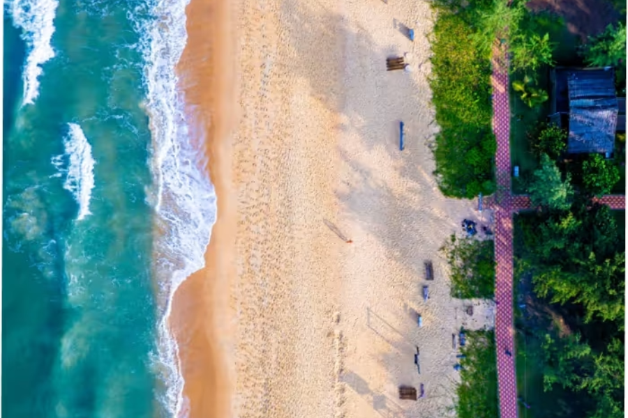 Untitled design - 2026-01-17T163607.702