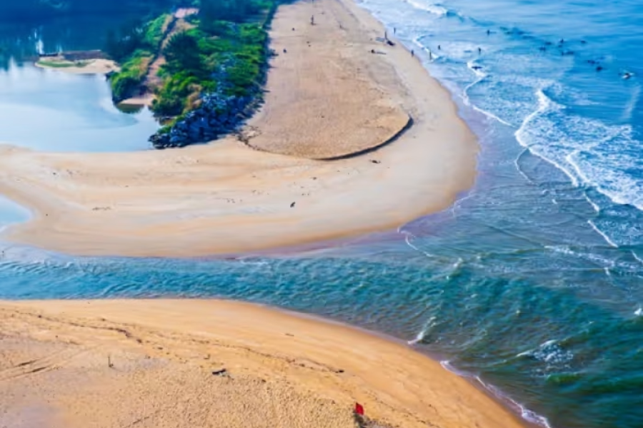 Untitled design - 2026-01-17T163627.209