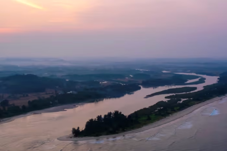 Untitled design - 2026-01-17T165812.193