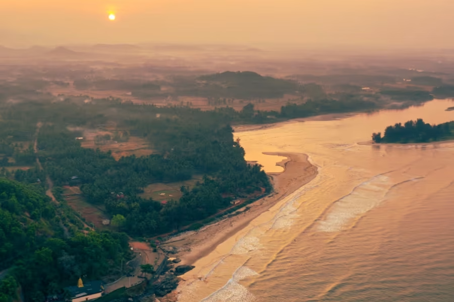 Untitled design - 2026-01-17T165831.436