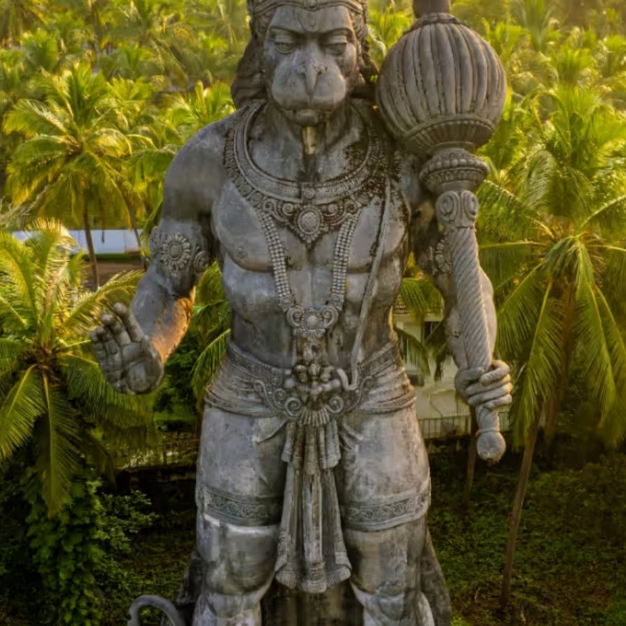 Untitled design - 2026-01-17T212718.884