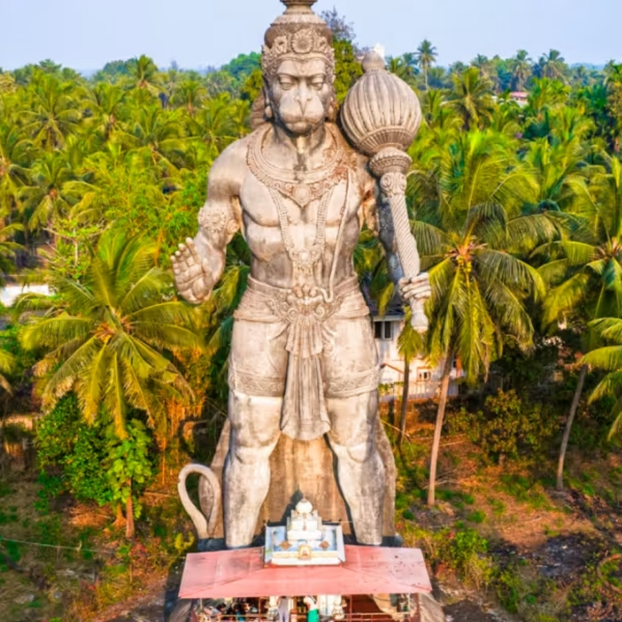 Untitled design - 2026-01-17T212749.459