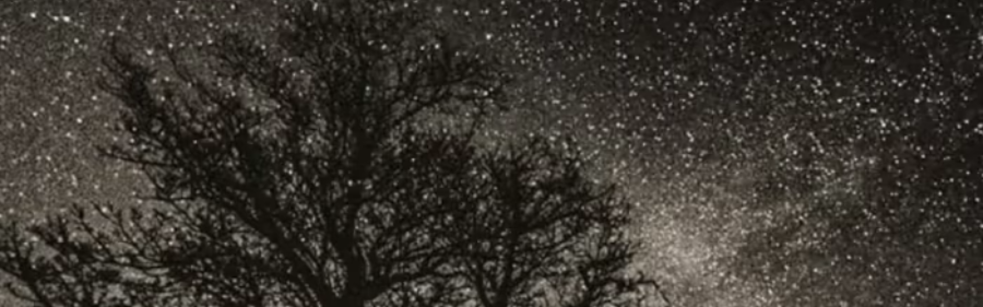 Untitled design - 2026-01-17T213842.135