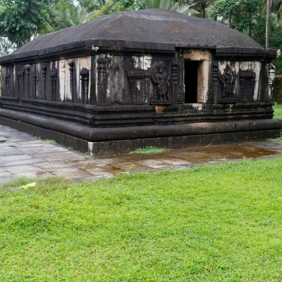 Untitled design - 2026-01-17T214712.175