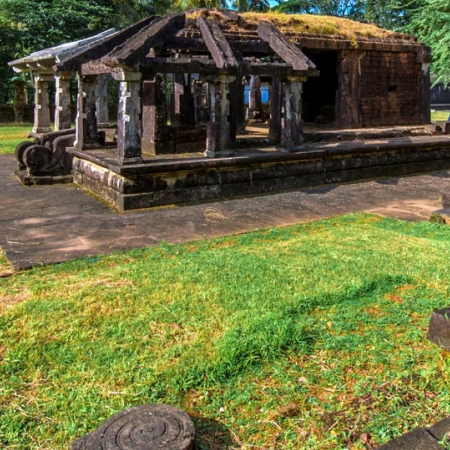 Untitled design - 2026-01-17T214734.498